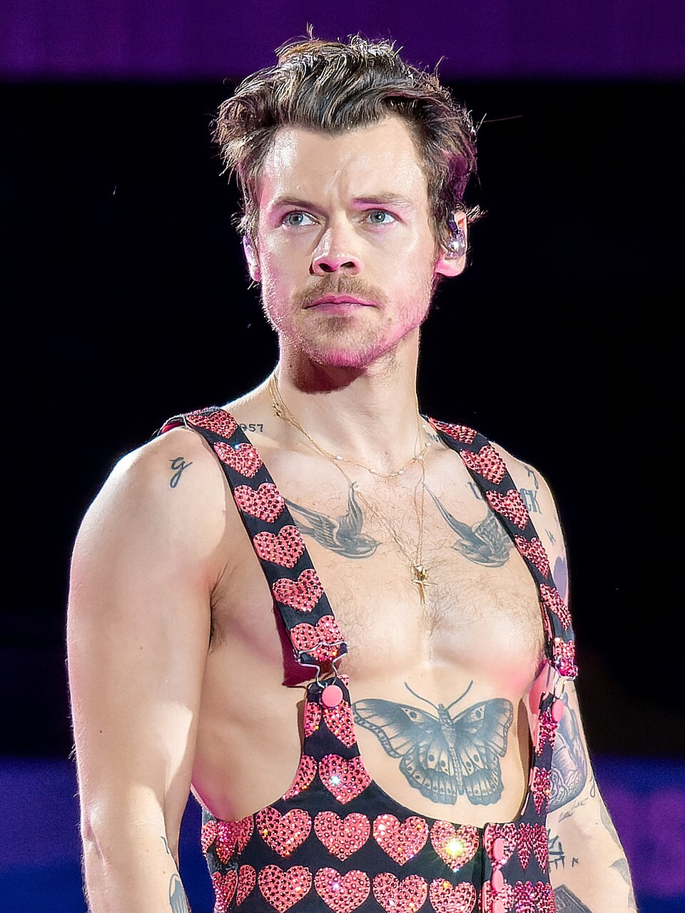 Portrait de Harry Styles