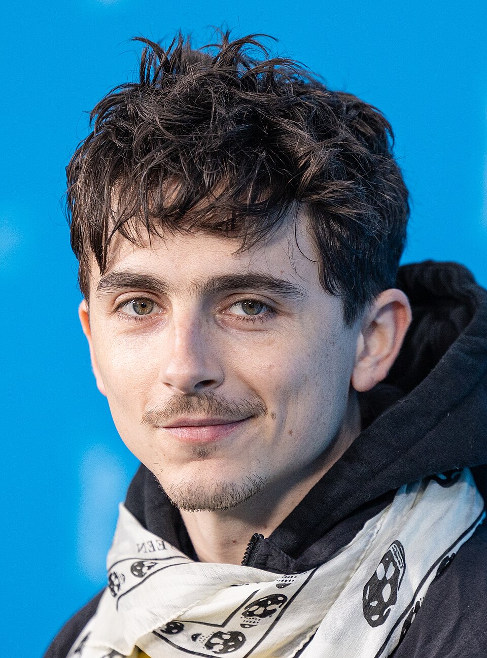 Portrait de Timothée Chalamet